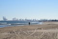 ÃÂ¡oastline against backdrop of gantry cranes and shipping containers in port.